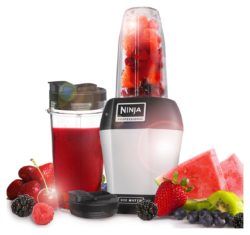 Nutri Ninja - BL450 Blender with Pulse Technology - Silver